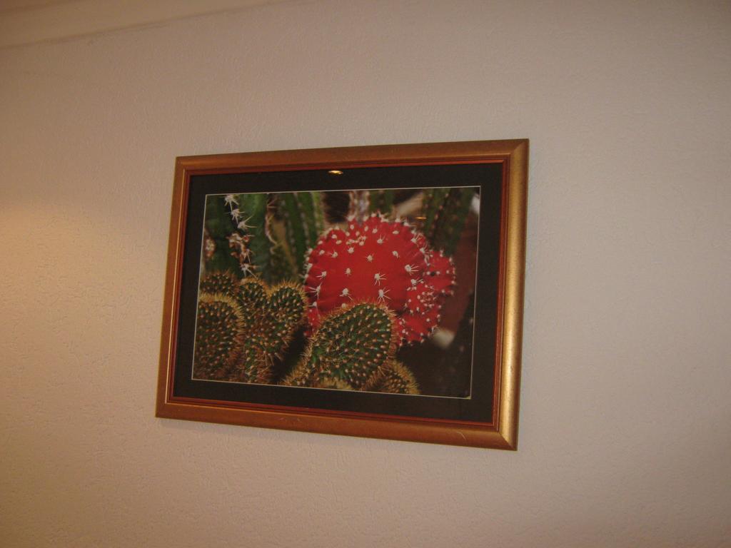 Apartment Vistanova Vrdnik Quarto foto